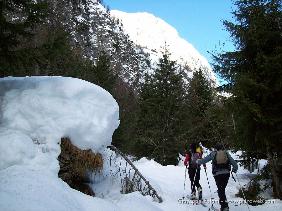 02 Stradina nel bosco.jpg